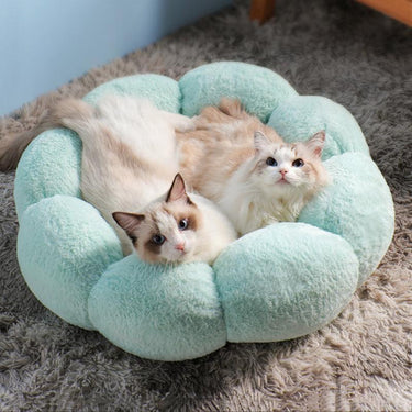 Petal Purr Fancy Cat Bed Petal Purr Fancy Cat Bed KittyNook Cat Company